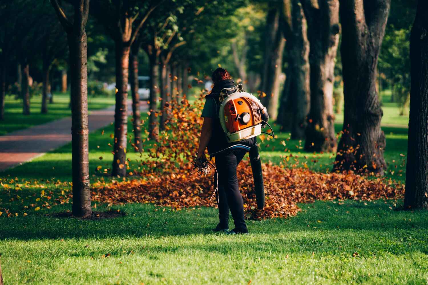 Best Emergency Tree Service  in USA